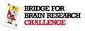 Bridge for Brains