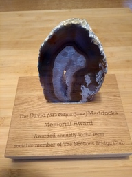 The David Maddocks Award