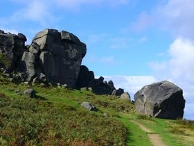 Cow and Calf  In Ilkley