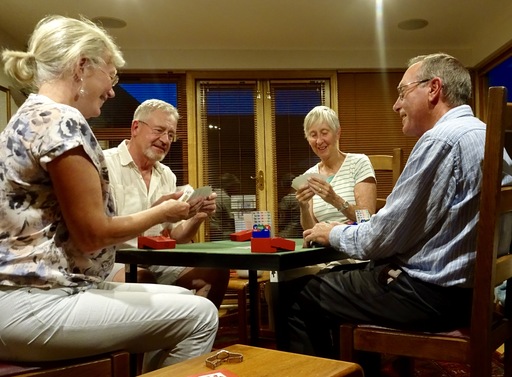 Learn to Play Bridge in 20 weeks!