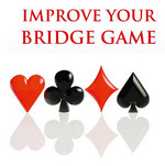 Bridge improvers