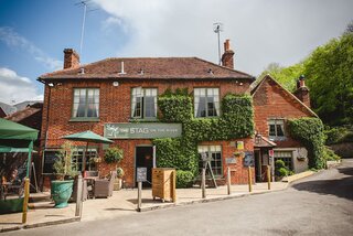 Friday 10am The Stag
