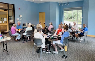 Arden Bridge Club Meets at the Skyland/South Buncombe Library