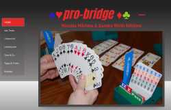 Pro-Bridge