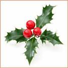 CHRISTMAS IS COMING!