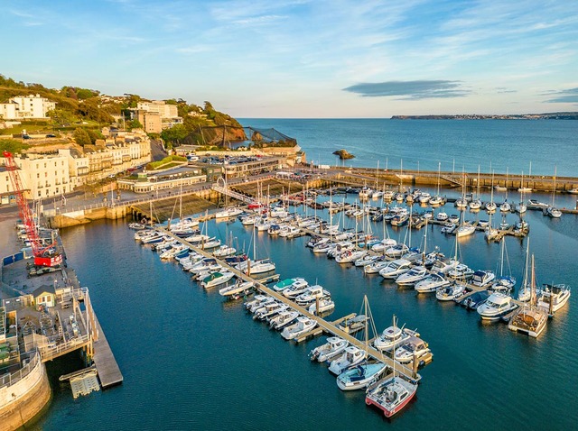 Our Bridge Collection