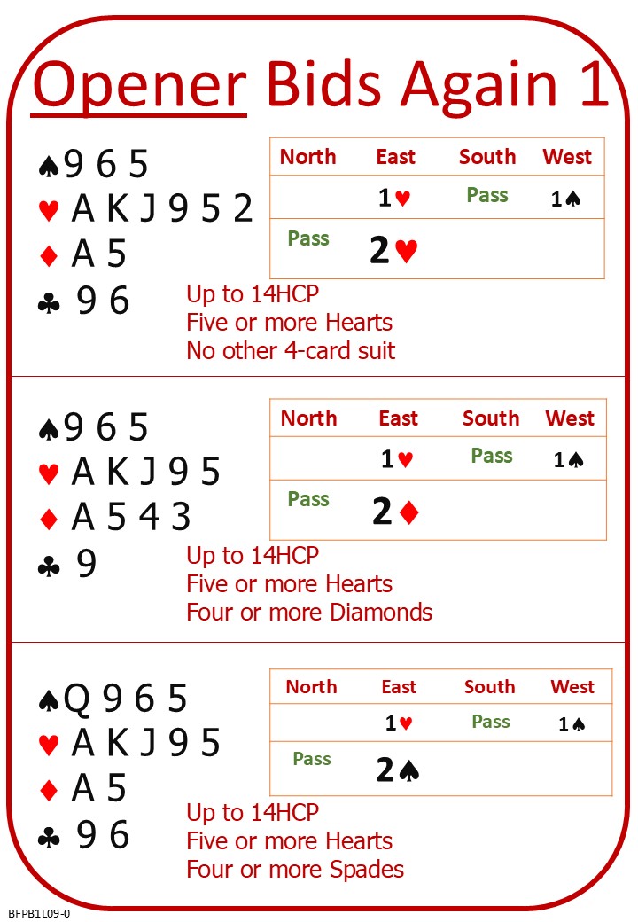 Bridge 1 Lesson 9 Opener Bids Again 1
