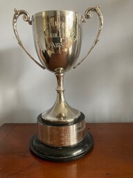 Blue Pointed Swiss Pairs - 26th April 2026