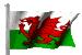 Welsh Bridge Union