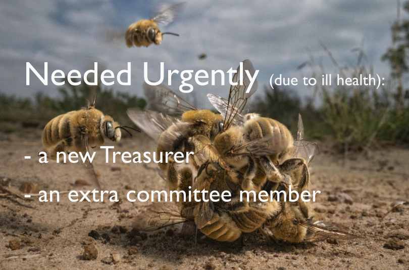 New Treasurer Urgently Needed