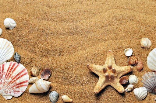 Summer Break 2026