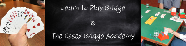 The Essex Bridge Academy