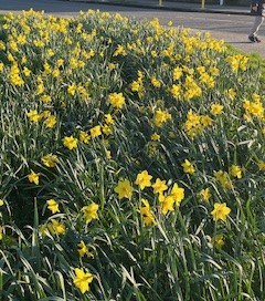 Spring has finally arrived