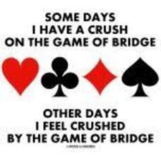 Fun 2 Play Bridge Players don't need to be BBO Premium Members!