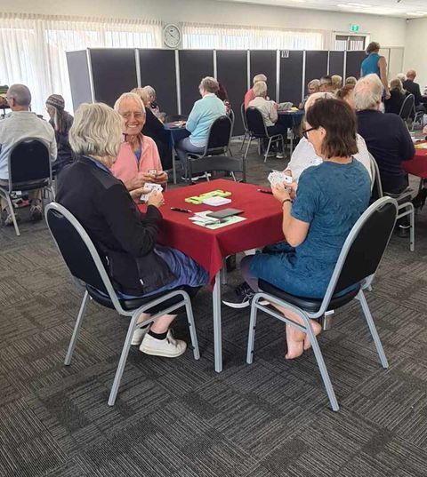 Why play bridge?