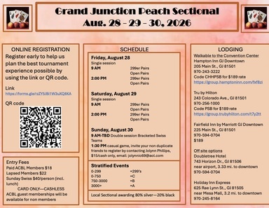 Flyer back