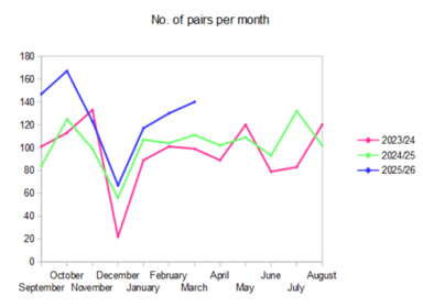 Attendance continues to increase