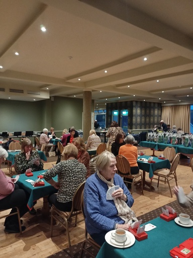 Christmas Bridge Fundraiser in Support of The Killarney Bridge Congress 2026