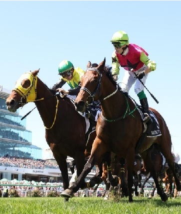 Melbourne Cup Day Tuesday 3 November
