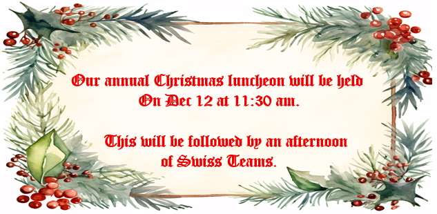 Chrtistmas Lunch & Swiss Teams