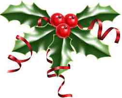 The Liskeard Bridge Club Christmas Party