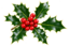 Christmas Holiday Dates