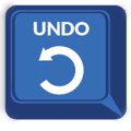 UNDO POLICY