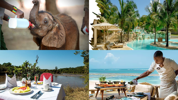NOW BOOKING for January 2028 - Safari and Indian Ocean Bridge holiday