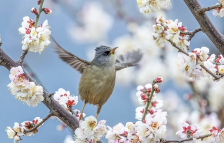 Celebrating 50 years - 1972 - 2022