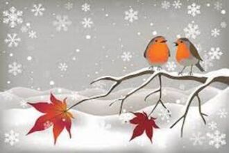 In the Deep Mid Winter