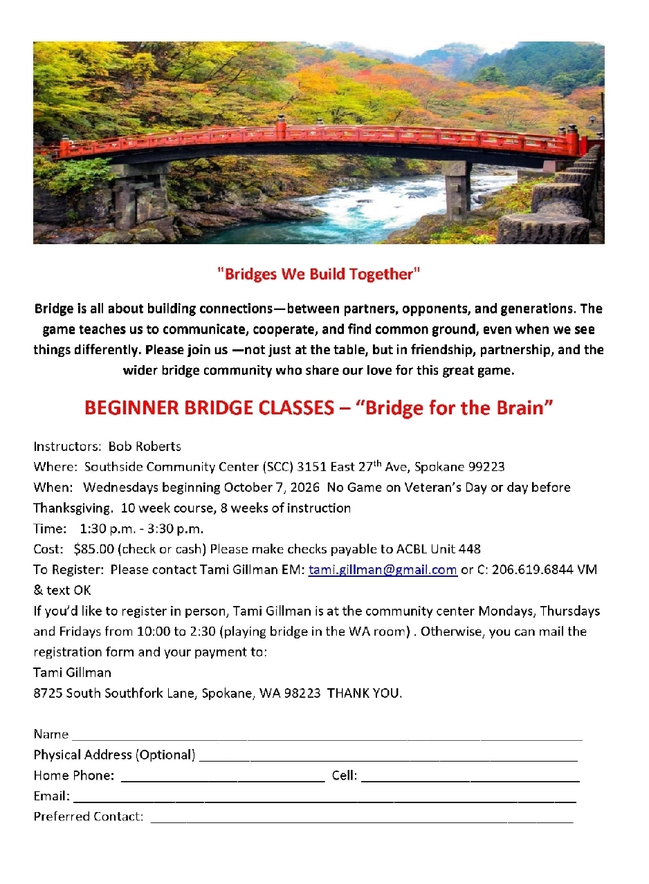 Bridge for the Brain