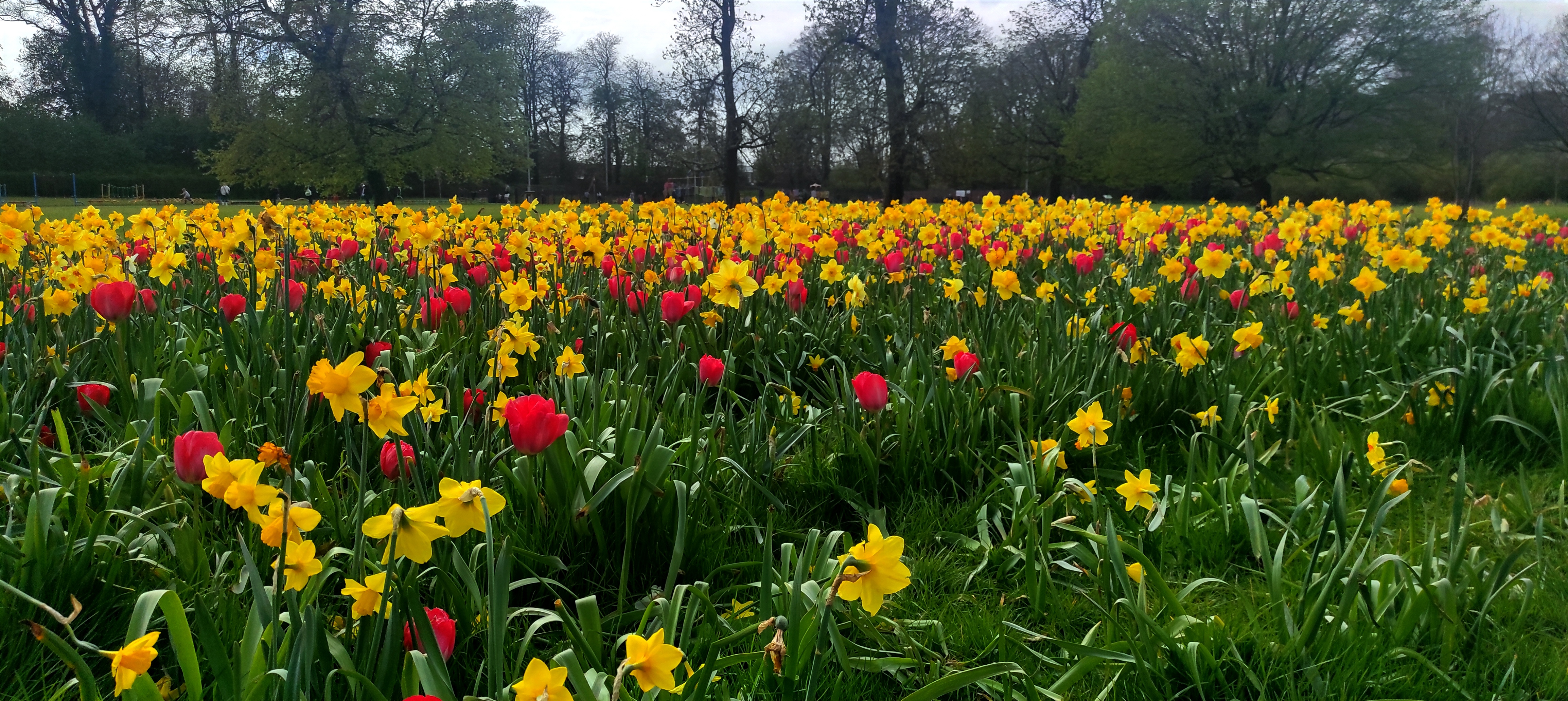 ❤🙂 Welcome to SportsLink Bridge Club 😊❤