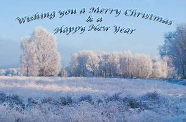 Cannock Chase Christams Greatings