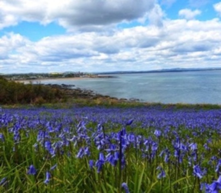 Springtime in St Andrews
