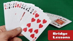 Beginning Bridge Year 1 Term 3 Course