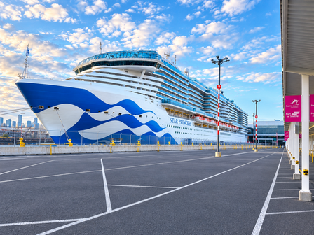 Star Princess Cruise Liner - 21 Decks, 4300 guests and 1600 crew members