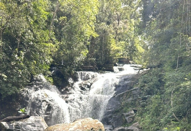 Sinharaja Rainforest - Sri Lanka