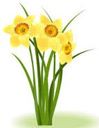 Chairman's Newsletter