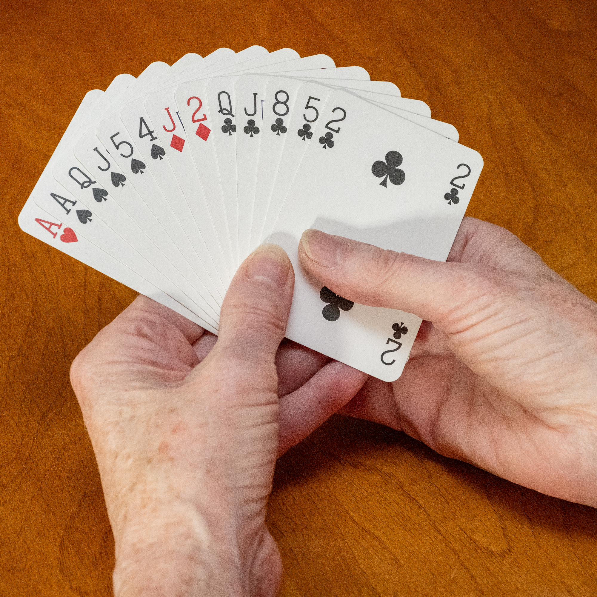 January 2026 Newsletter